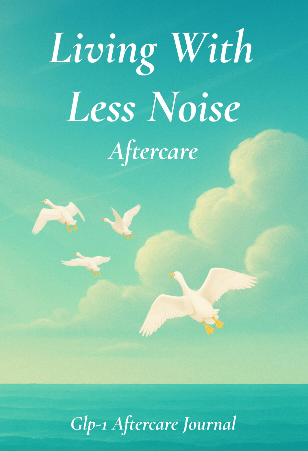 Living With Less Noise Aftercare